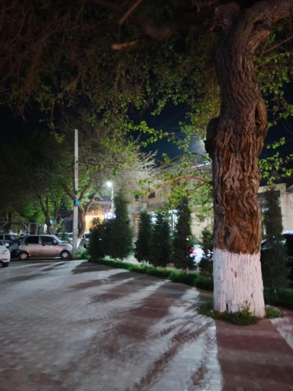 Hostel Gulsara Samarkand Exterior foto